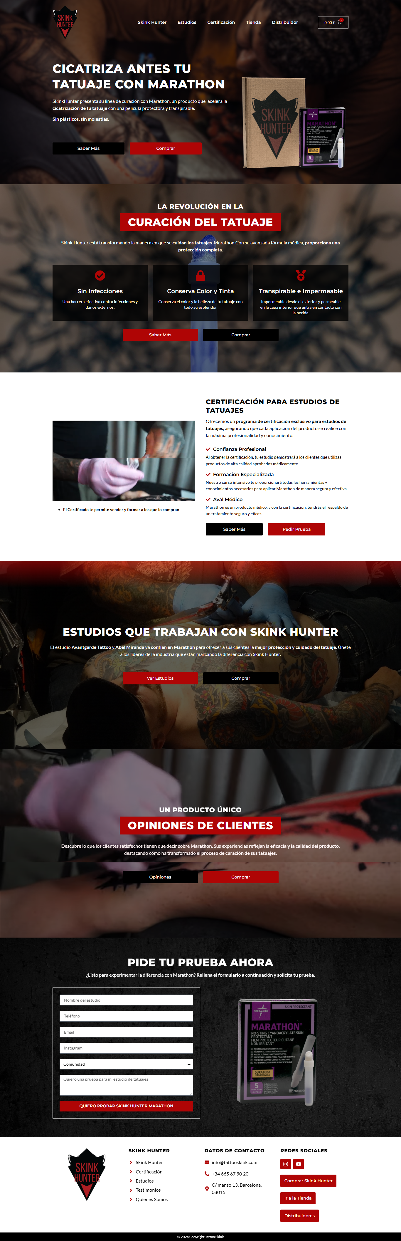 Homepage de la página web TattooSkink